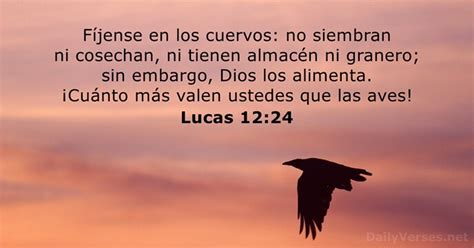 Versículo 12 24 - Lucas 12:24 - Versículo de la Biblia - DailyVerses.net