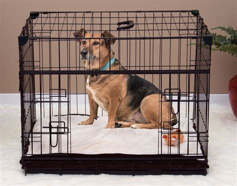 Lucky Dog Sliding Double Door Dog Crate, Small, 30"L - Walmart.com
