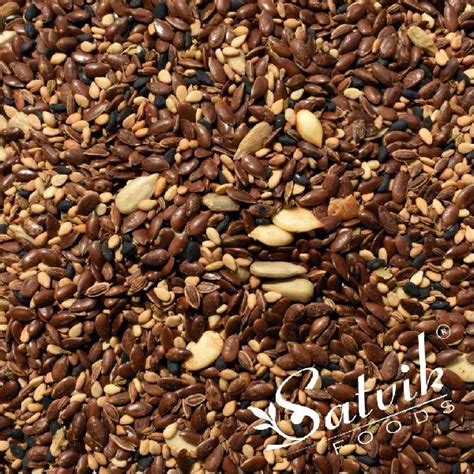 Seven Seeds at Best Price in Vadodara | Satvik Foods
