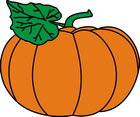 yellow squash clip art