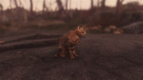 Just A Cat at Fallout 4 Nexus - Mods and community