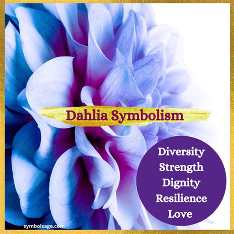 flower meaning dahlia 5