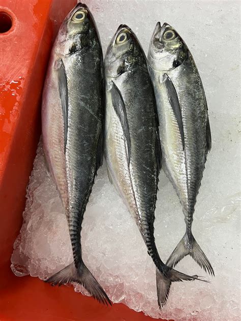 Fresh seafood @ high quality... - LF Fresh & Frozen Food