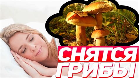 К чему снятся грибы во сне женщине самые популярные толкования сна ...