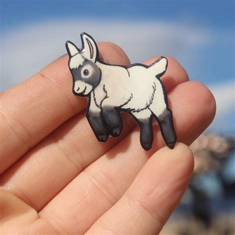 Pygmy Goat - Etsy