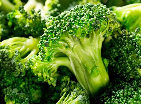 vegetable description types farming examples britannica
