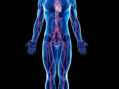 vascularmedicalch products