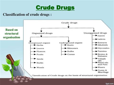 Crude Drugs | Hamidul Kowsar