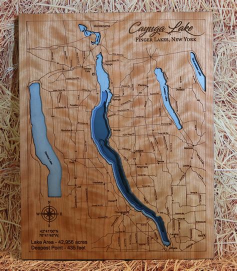 map of cayuga lake wineries 6