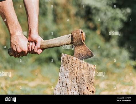 man chopping tree stock photo alamy
