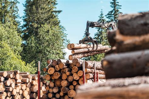 timber truck logging forestry operations  stock photo picjumbo