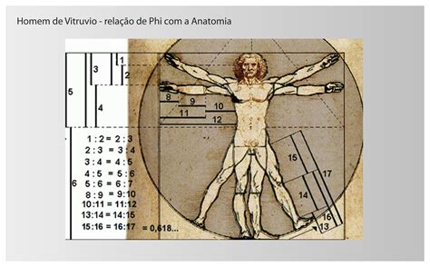 #2 - A Regra de ouro - proporção áurea - Design Culture | Sacred ...