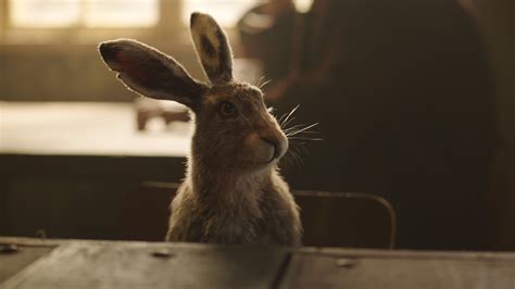 His Darl Materials Lee Scoresby's Hare 7