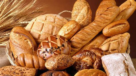 Conato bakery - New Experience in Your City