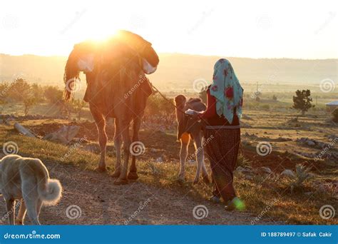 Nomadic people stock image. Image of indigenous, lifestyles - 188789497