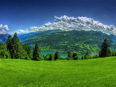 HD Widescreen Backgrounds Wallpapers: Beautiful Green Backgrounds | Top ...
