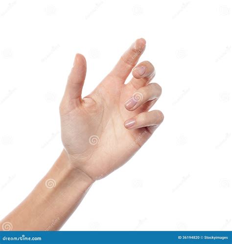 Female Hand Gesturing a Hold Stock Photo - Image of closeup, isolated ...