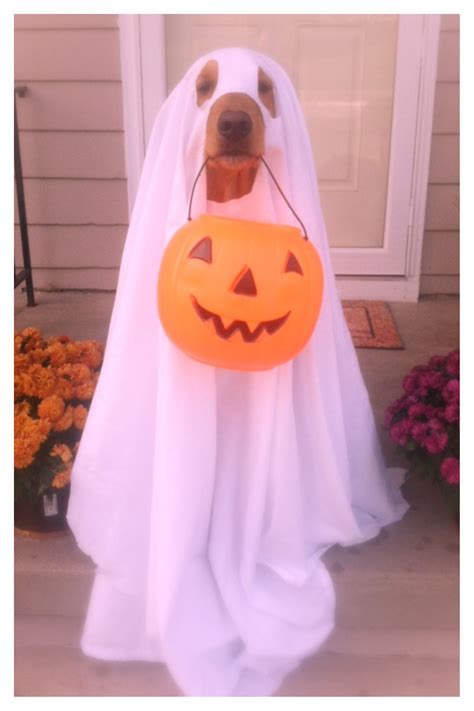 dog in ghost costume statue 4