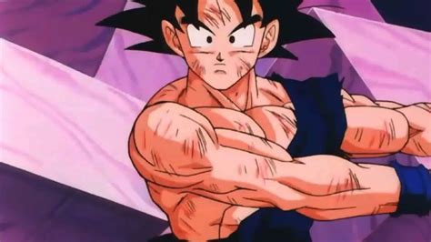 Goku And Vegeta Fusion