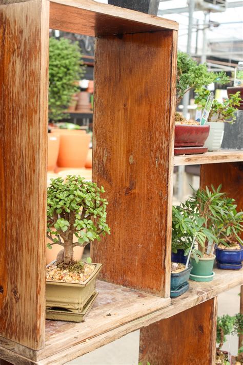 esbenshade's garden centers & greenhouse 2