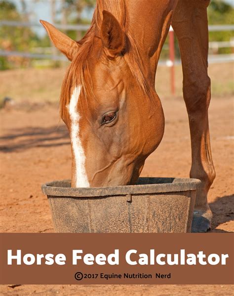 The Equine Nutrition Nerd | The Place for Easy-To-Understand ...