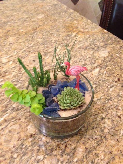 Succulent Dish Garden by Liz De Paz