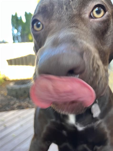 Yarelyly : r/Yarelyly_