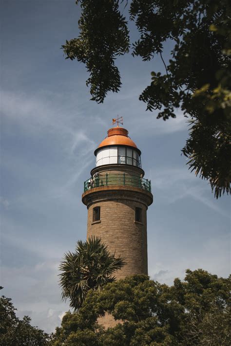 Indian+Feet+Soles Photos, Download The BEST Free Indian+Feet+Soles