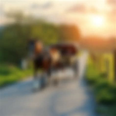 Reviving the Horse and Buggy: A Nostalgic Journey : MysteryLores