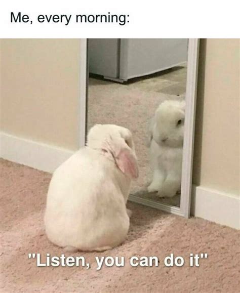 Motivational Memes (19 pics)