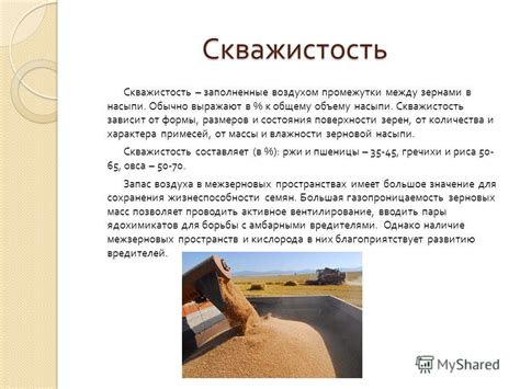 Презентация на тему: "Основные виды зерновых и зернобобовых грузов ...