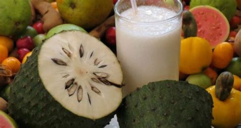 Suco De Graviola Faz Mal Para O Fígado - 9 Receitas de Suco de Graviola - Benefícios e Como Fazer ...