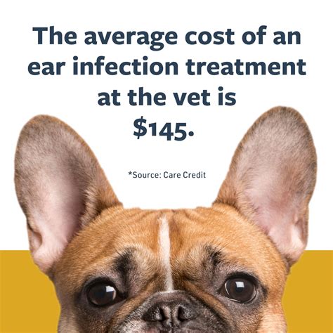 Veterinary Formula Clinical Care Ear Therapy, 4 oz. – Cat and Dog Ear
