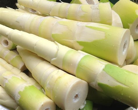 bamboo shoots   price  naharlagun  vimay enterprises id