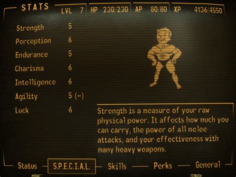 --random-things: Fallout New Vegas stats