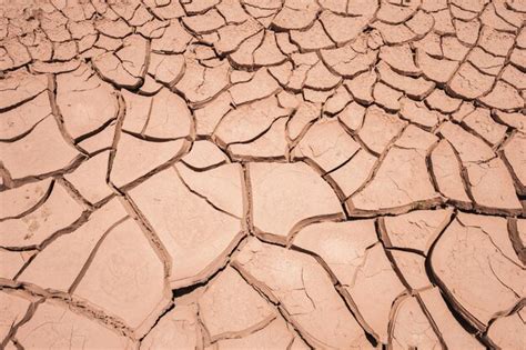 Premium Photo | Cracked ground