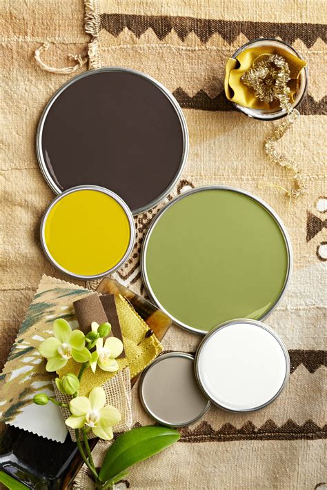 Soft Autumn Color Palette: The Perfect Harmony of Earthy Tones and Nature-Inspired Colors 1