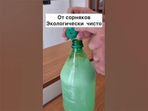 🌿 ЭКОЛОГИЧНЫЙ БИО МЕТОД ОТ СОРНЯКОВ. Безопасно, не токсично, без ...