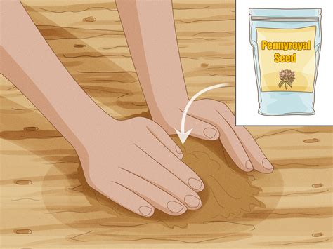 How to Get Rid of Fleas Naturally: 14 Safe Solutions