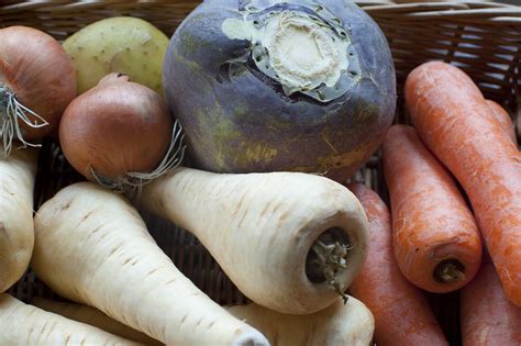 collection  root vegetables  stock image