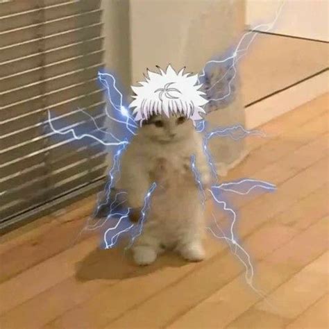 Киллуа котик 💙/ аватарочка | Anime kitten, Anime cat, Cat icon