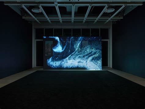 Rachel Rose: Everything and More | Whitney Museum of American Art