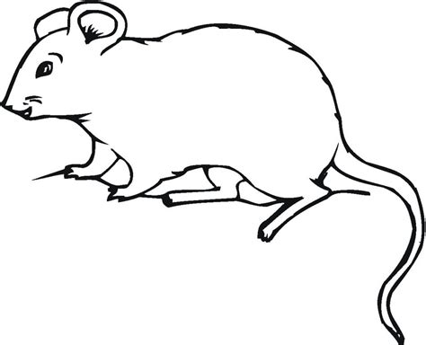 Free Printable Mouse Coloring Pages For Kids