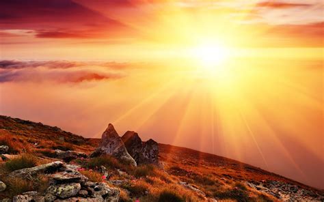Download Top View Morning Sunrise Wallpaper | Wallpapers.com