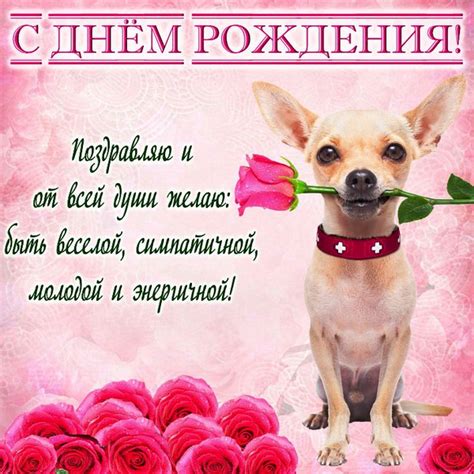 Прикольные открытки Женщине с Днем рождения