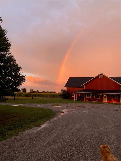 Preston - Yard work has never been easier. Trust STIHL to get the job