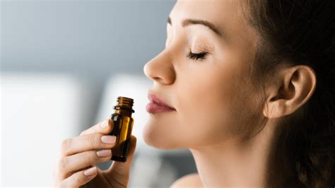 Curso De Aromaterapia Reconhecido Pelo Mec Gratuito - Curso de Aromaterapia - Reconhecido pelo MEC - online - Sympla