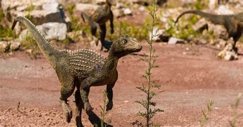 Facts About Dinosaurs - Factinate