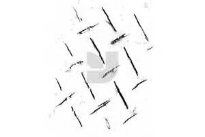 Graphite 04 - Graphics - YouWorkForThem