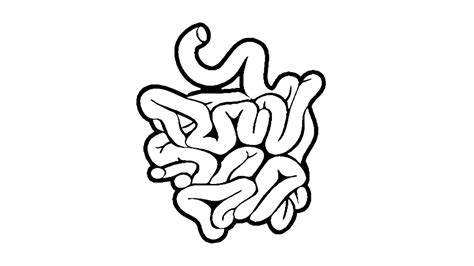 how to draw the small intestine